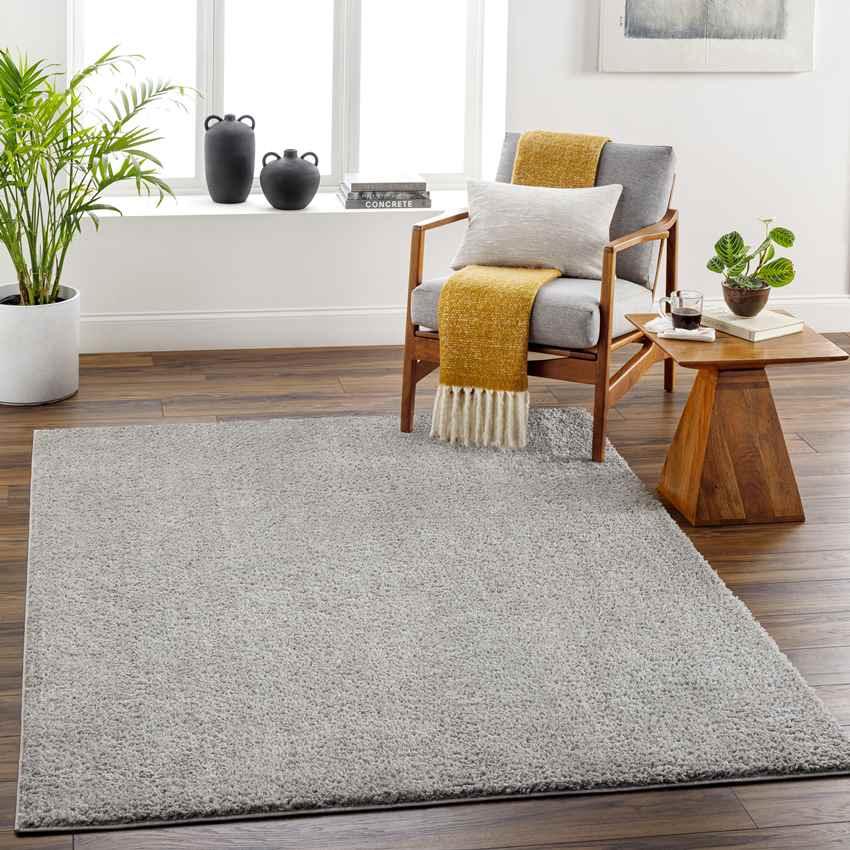 Richlawn Modern Medium Gray Washable Area Rug