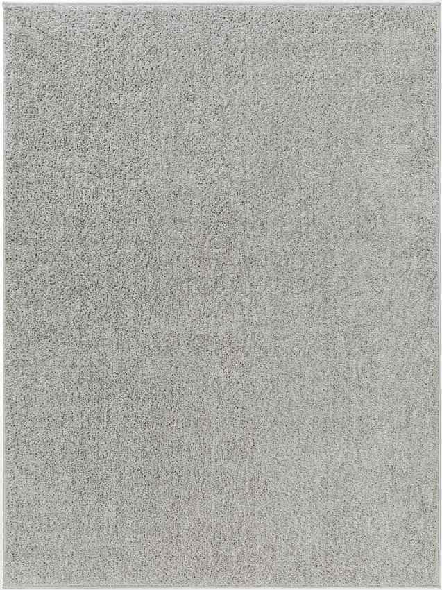 Richlawn Modern Medium Gray Washable Area Rug