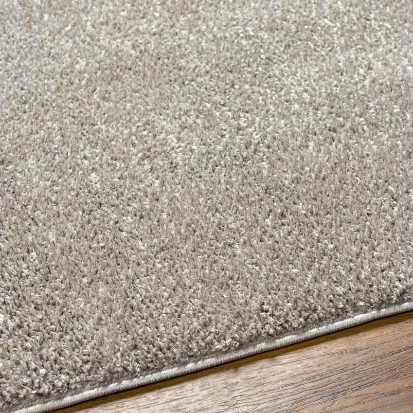 Richlawn Modern Medium Gray Washable Area Rug