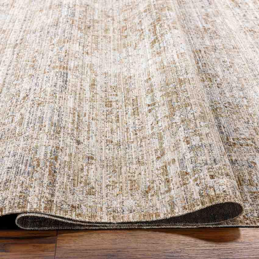 Robynn Traditional Dark Brown Washable Area Rug