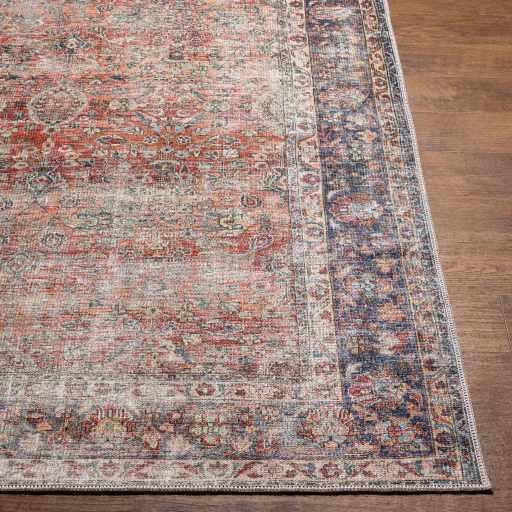 Rust Anahawan Distressed Washable Area Rug