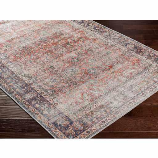 Rust Anahawan Distressed Washable Area Rug