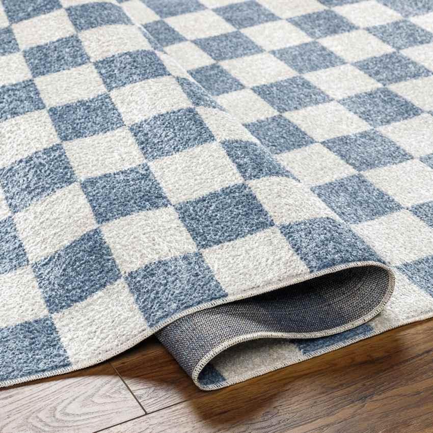 Shaquina Modern Pale Blue Washable Area Rug