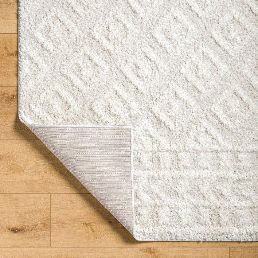 Shatora Modern Light Beige Area Rug