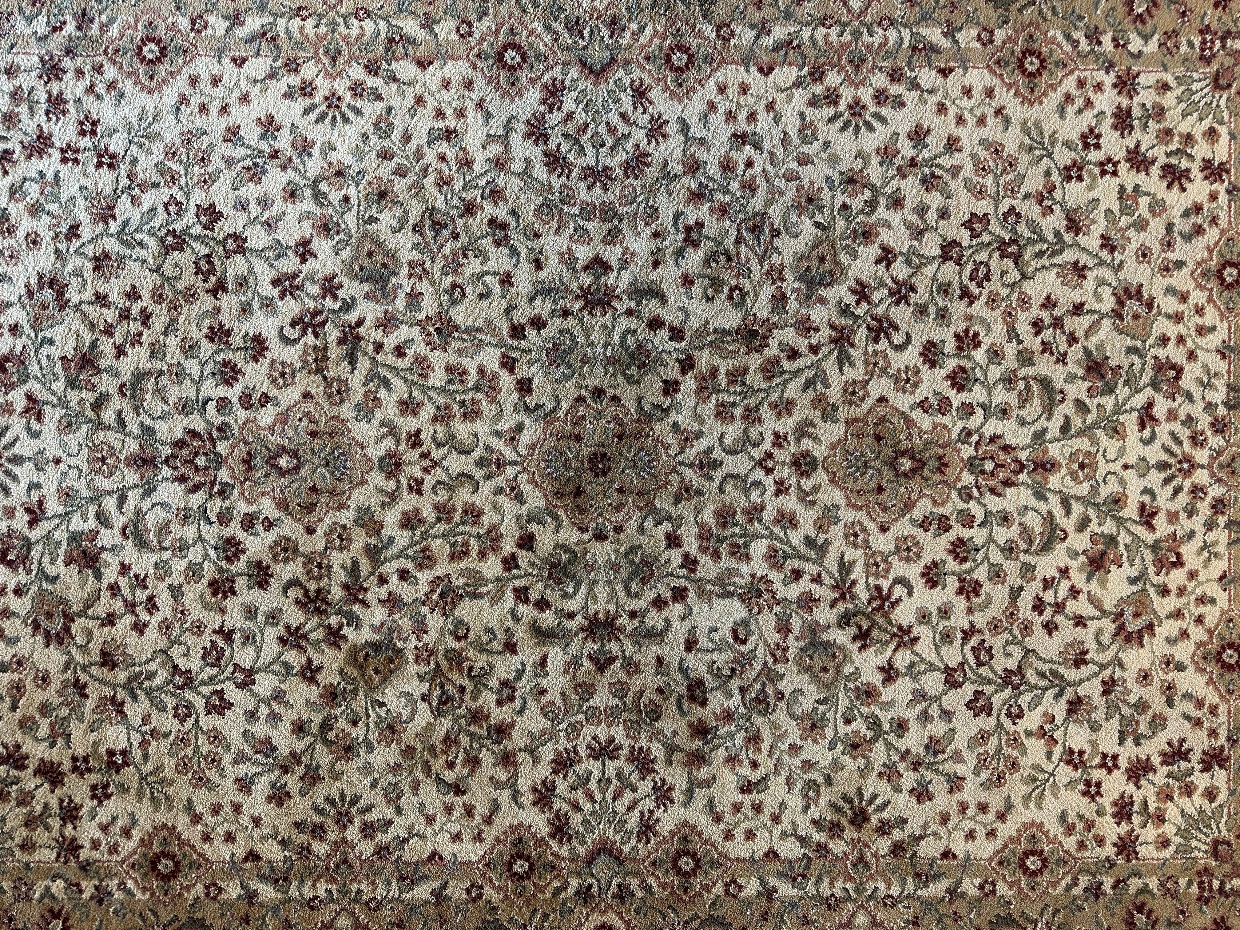 Shaw 3V325 Rug 3’10” x 5’9”