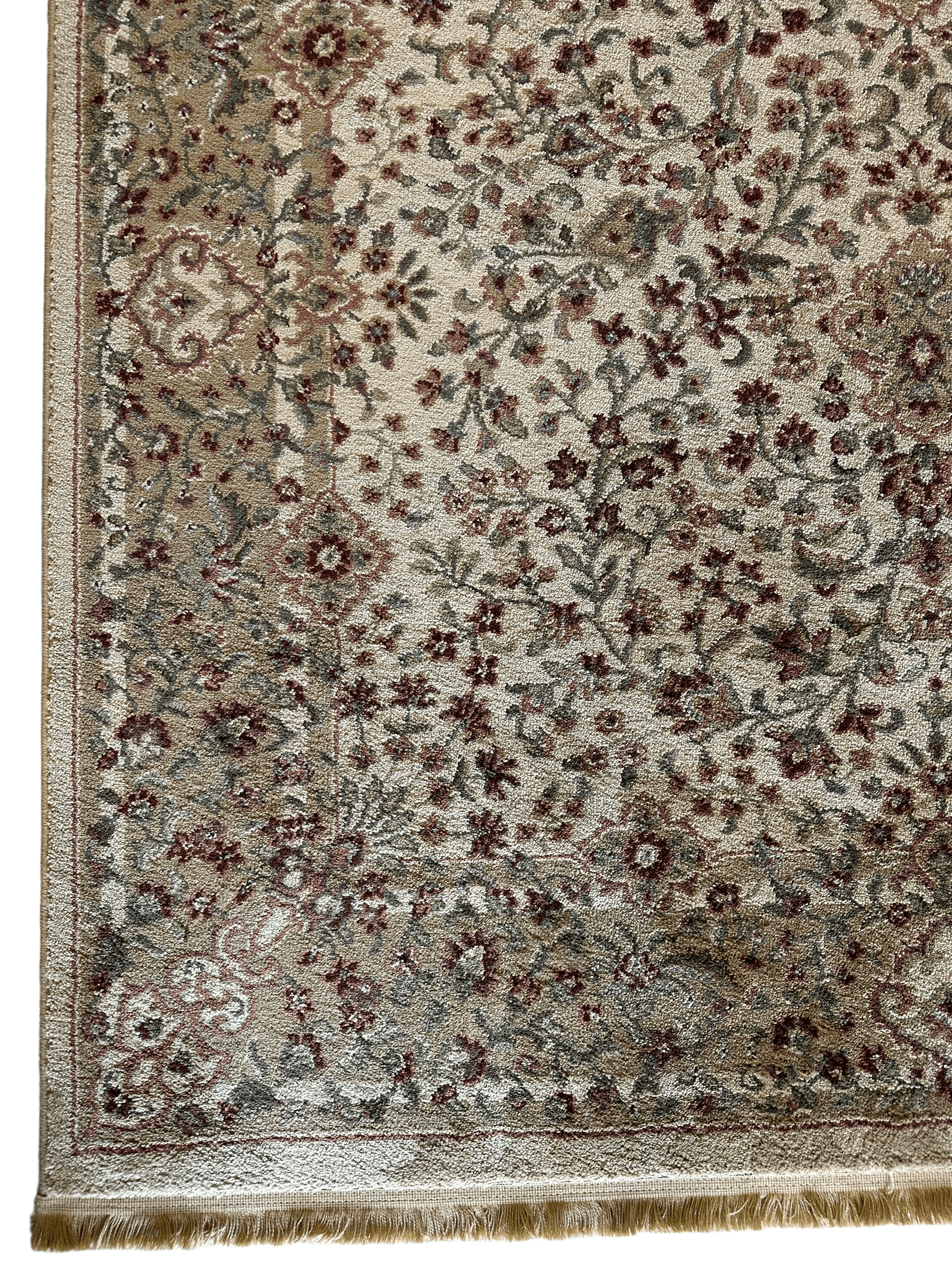 Shaw 3V325 Rug 3’10” x 5’9”