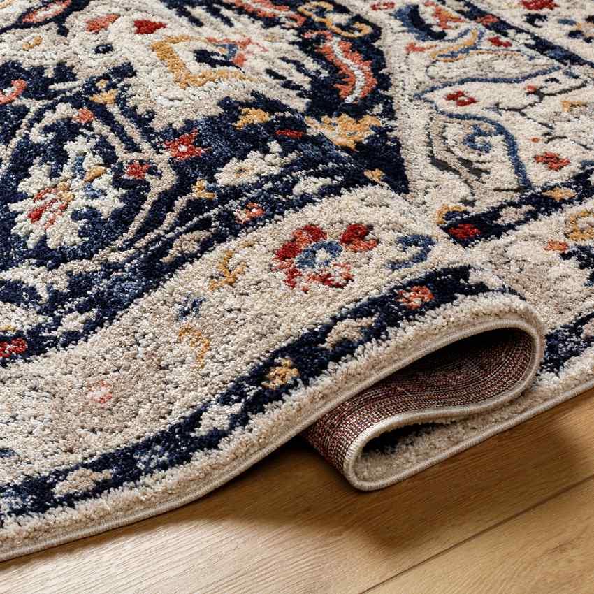 Shemica Traditional Cobalt Area Rug