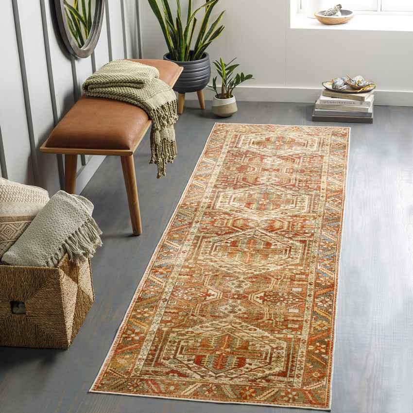 St David Global Burnt Orange Washable Area Rug