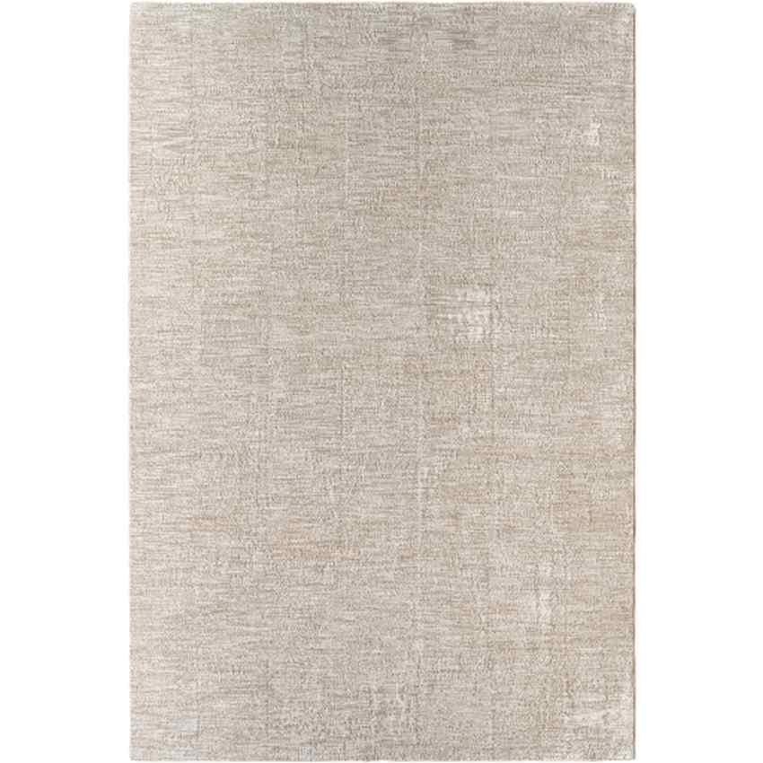 Sujey Traditional Light Gray Area Rug