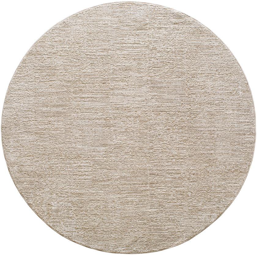 Sujey Traditional Light Gray Area Rug