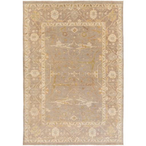 Surya Ainsley AIN-1000 3'9" x 5'9" Rug