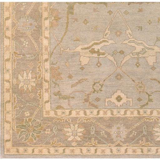 Surya Ainsley AIN-1000 3'9" x 5'9" Rug