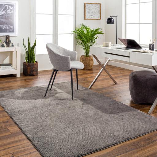 Surya Alder ALD-2302 23" x 45" Rug