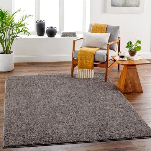 Surya Alfombra AFB-2302 2' x 3' Rug