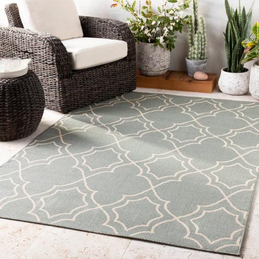 Surya Alfresco ALF-9589 2'5" x 4'5" Rug