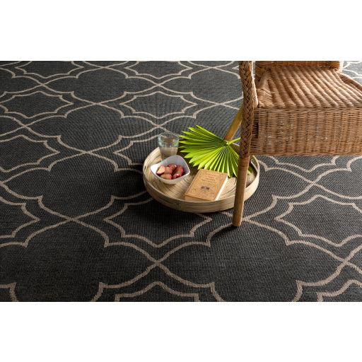 Surya Alfresco ALF-9590 2'5" x 11'10" Rug