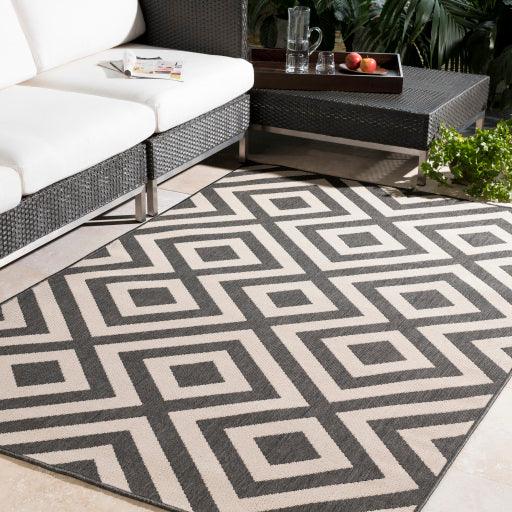 Surya Alfresco ALF-9639 2'5" x 11'10" Rug