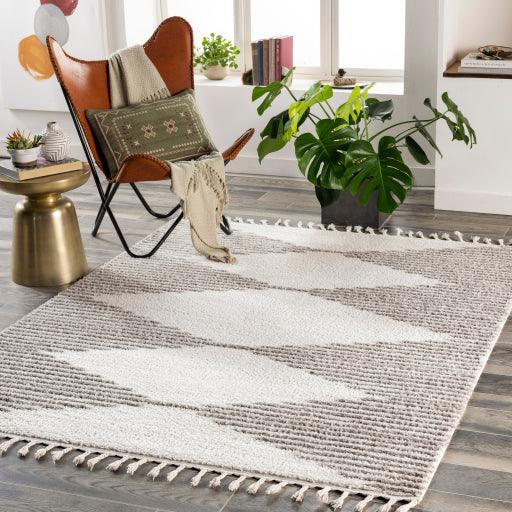 Surya Alhambra AHB-2305 2'7" x 7'3" Rug