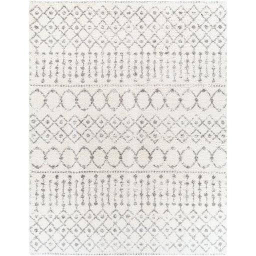 Surya Aliyah Shag ALH-2302 2' x 3' Rug