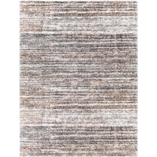 Surya Aliyah Shag ALH-2307 2' x 3' Rug