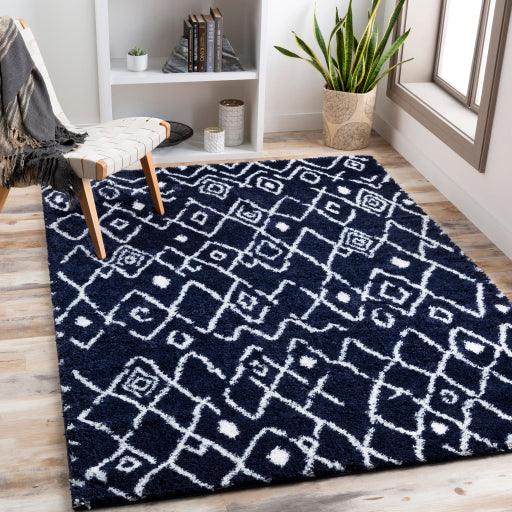 Surya Aliyah Shag ALH-2317 2' x 3' Rug