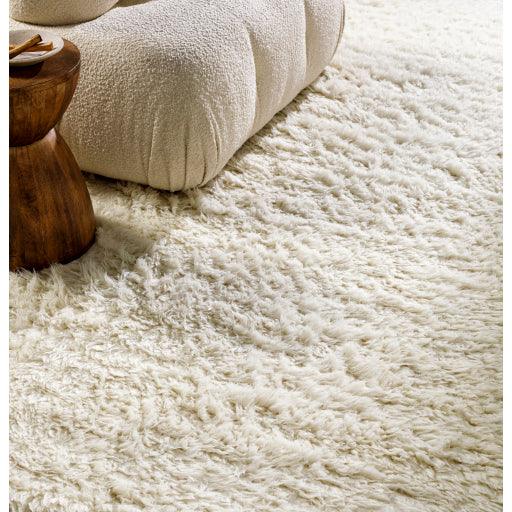 Surya Alpaca APC-2300 2' x 3' Rug