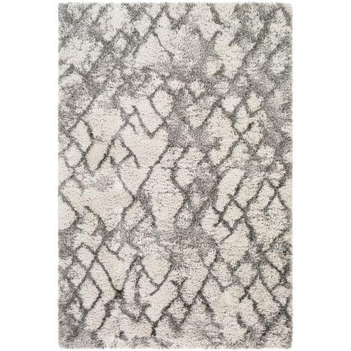 Surya Alta Shag ASG-2300 2' x 3' Rug