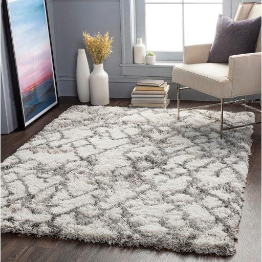 Surya Alta Shag ASG-2300 2' x 3' Rug