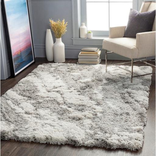 Surya Alta Shag ASG-2301 2' x 3' Rug