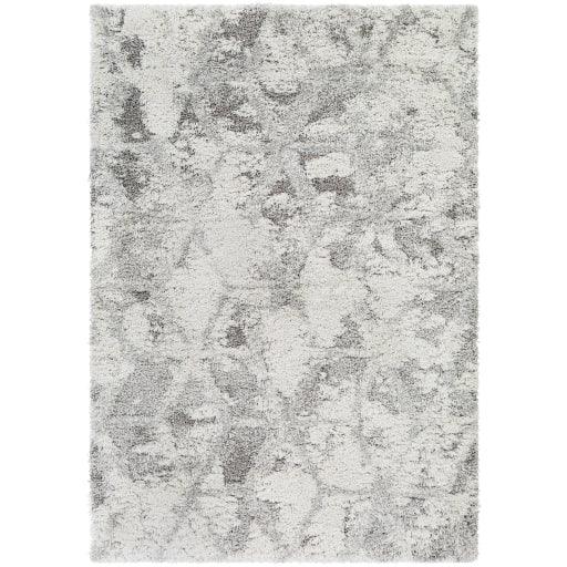 Surya Alta Shag ASG-2302 2' x 3' Rug