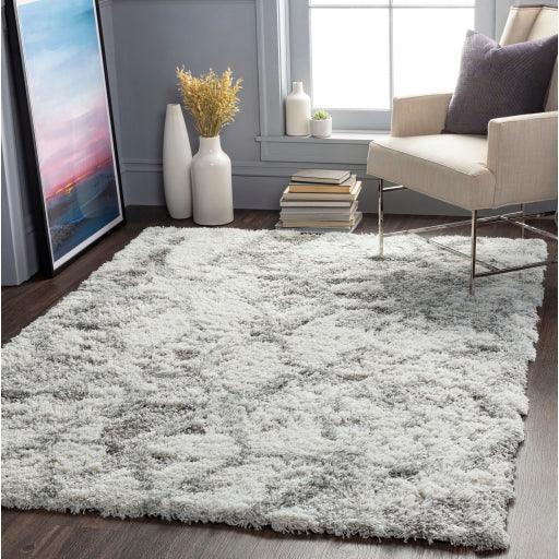 Surya Alta Shag ASG-2302 2' x 3' Rug