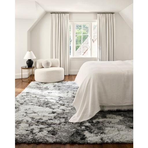 Surya Alta Shag ASG-2304 2' x 3' Rug