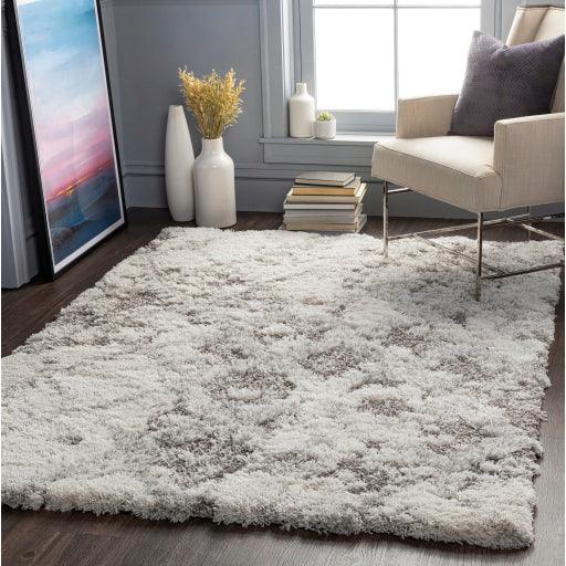 Surya Alta Shag ASG-2305 2' x 3' Rug