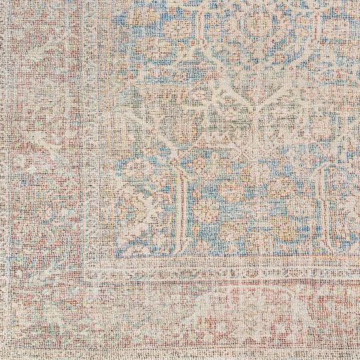 Surya Amasya AMY-2303 2' x 3' Rug