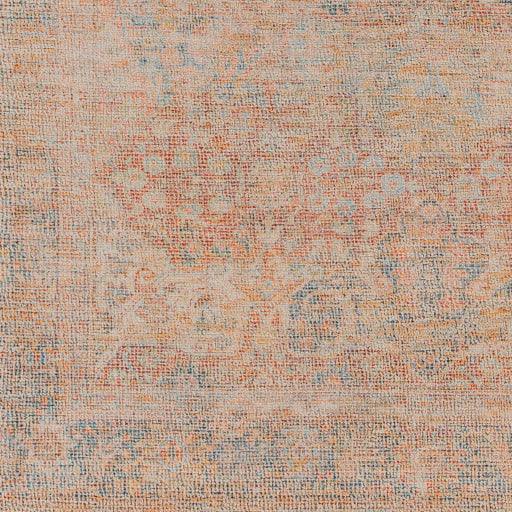 Surya Amasya AMY-2304 2' x 3' Rug