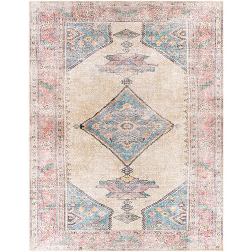 Surya Amelie AML-2313 2'7" x 7'10" Rug