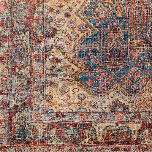 Surya Amelie AML-2337 2'7" x 7'10" Rug