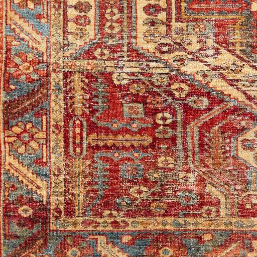 Surya Amelie AML-2340 2'7" x 7'10" Rug