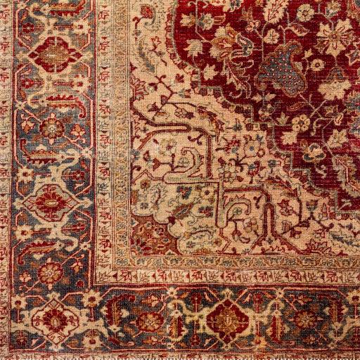 Surya Amelie AML-2344 2'7" x 7'10" Rug