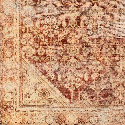 Surya Amelie AML-2345 2' x 2'11" Rug