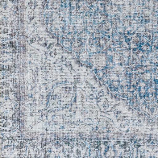 Surya Amelie AML-2364 2' x 2'11" Rug