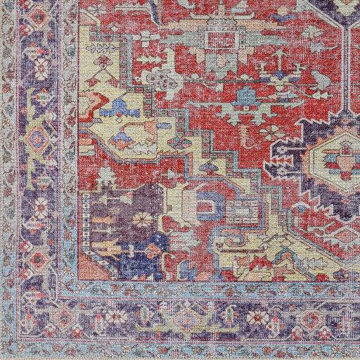 Surya Amelie AML-2372 2'7" x 7'10" Rug