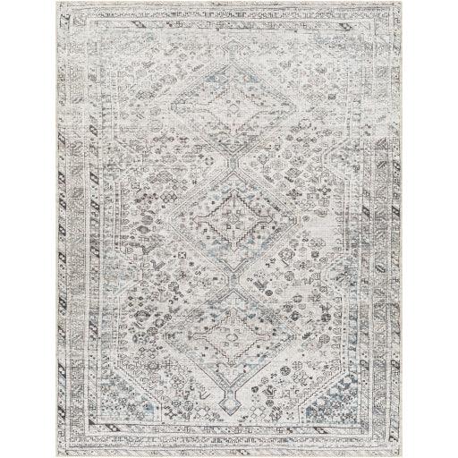 Surya Amelie AML-2380 2'7" x 7'10" Rug