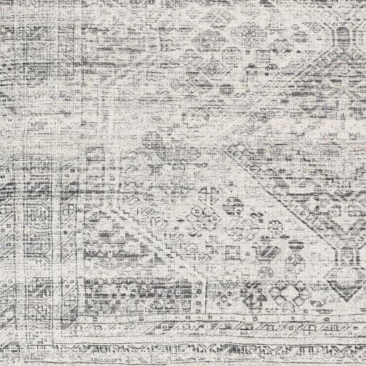 Surya Amelie AML-2381 2'7" x 7'10" Rug