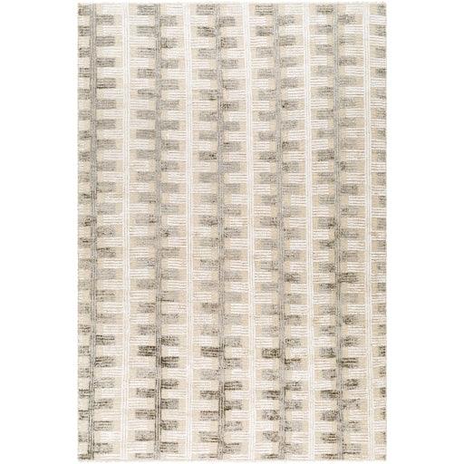 Surya Amina AMA-2302 2' x 3' Rug