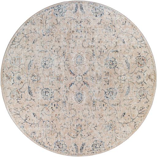 Surya Amore AMO-2305 2'3" x 3'9" Rug