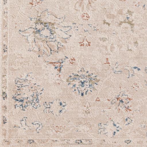 Surya Amore AMO-2321 2'3" x 3'9" Rug