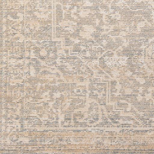 Surya Amore AMO-2324 2'3" x 3'9" Rug