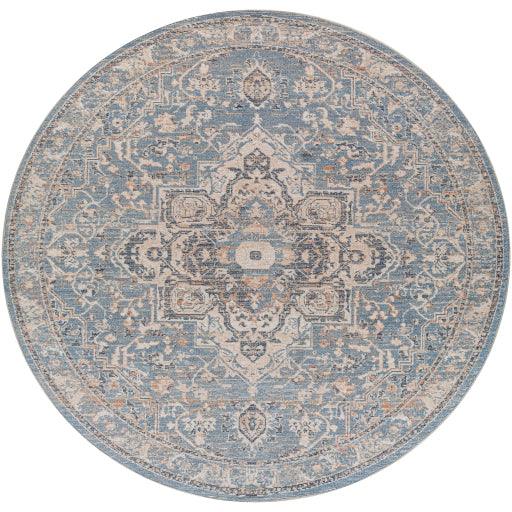 Surya Amore AMO-2328 2'3" x 3'9" Rug