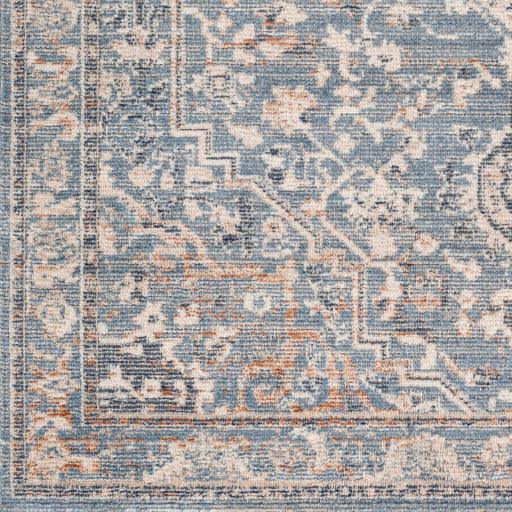 Surya Amore AMO-2328 2'3" x 3'9" Rug